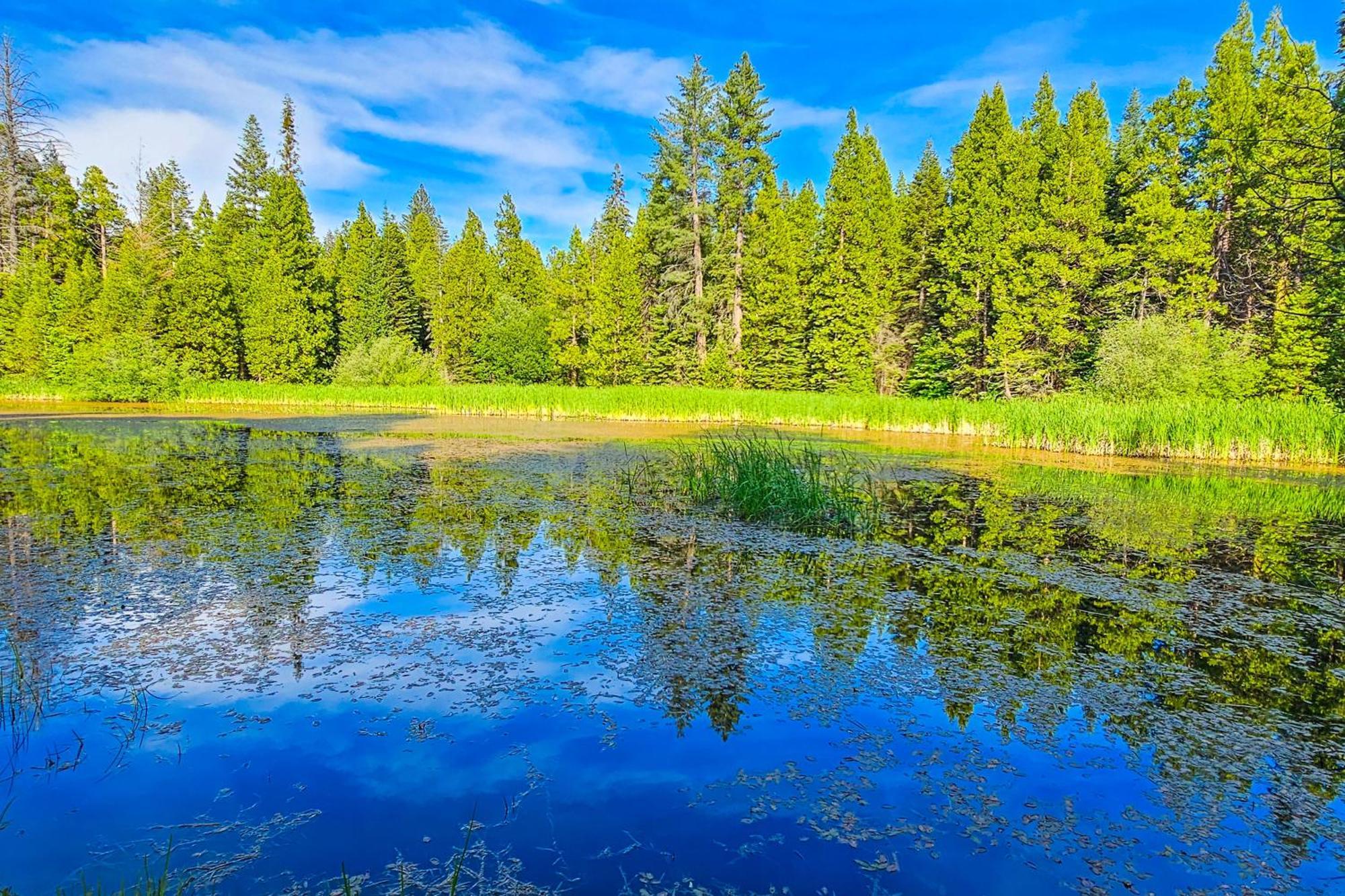 Villa Water'S Edge Retreat Shaver Lake Exterior foto