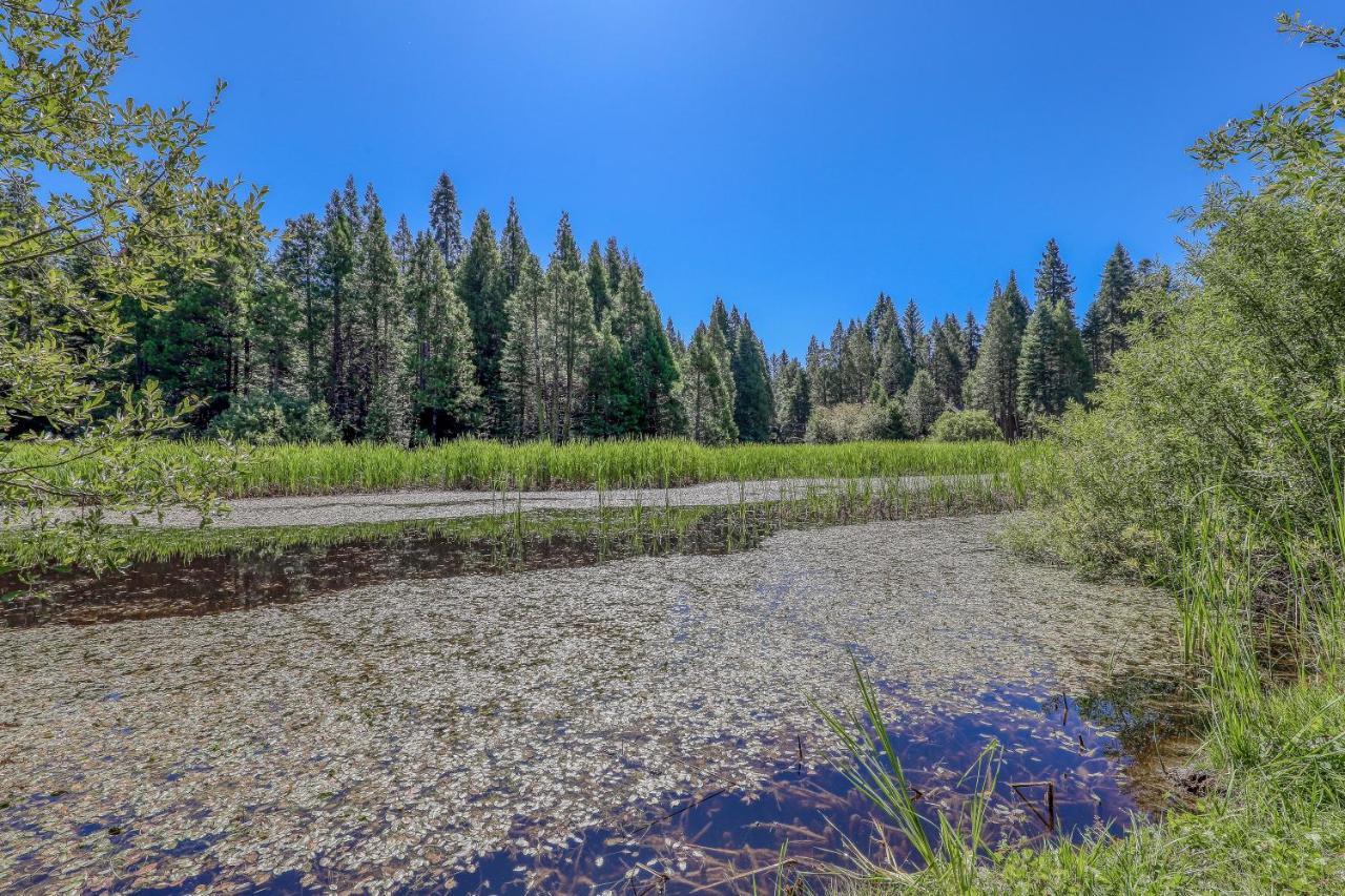 Villa Water'S Edge Retreat Shaver Lake Exterior foto